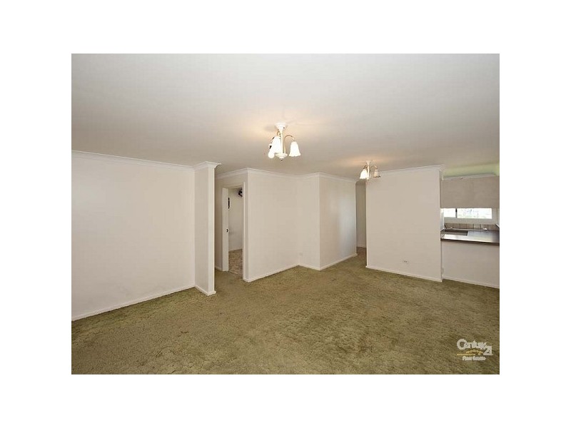 234 Padbury Ave, Herne Hill WA 6056