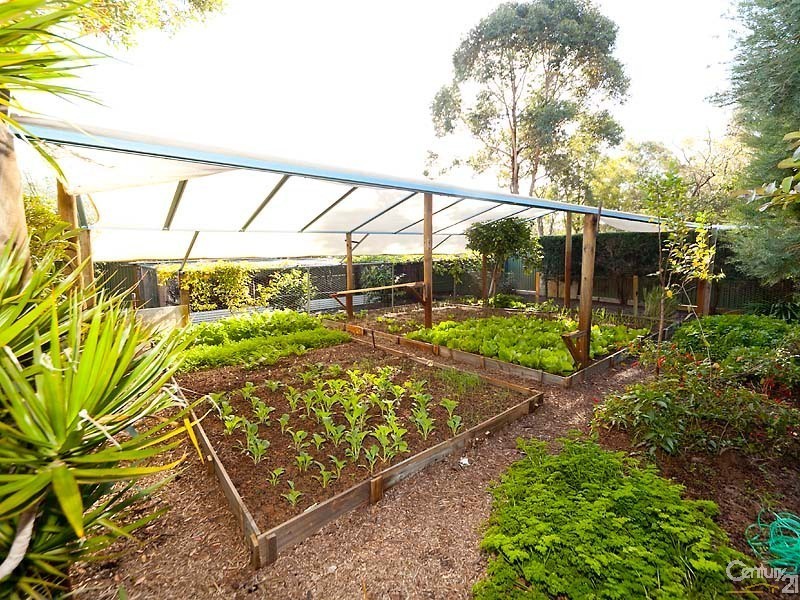 58 Taittinger Grove, The Vines WA 6069