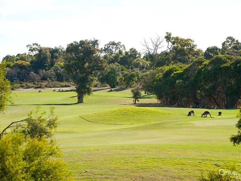 273 Vines Avenue, The Vines WA 6069