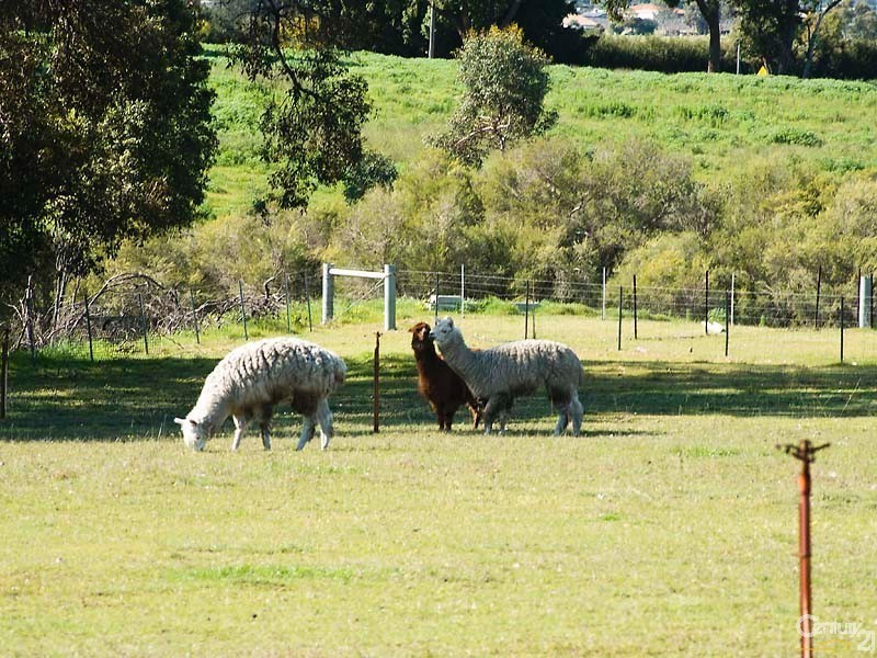 28 Carwood Crescent, Henley Brook WA 6055