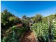 29 Anna Plains Circle, Ellenbrook WA 6069