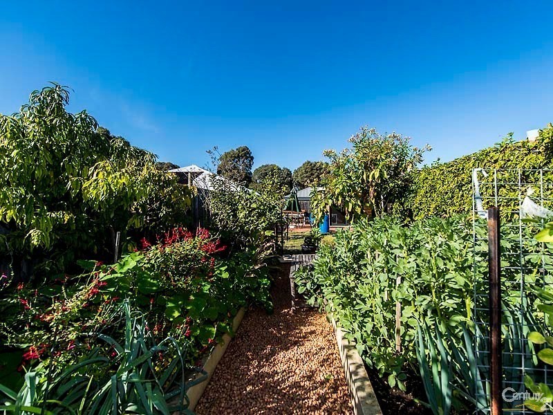 29 Anna Plains Circle, Ellenbrook WA 6069