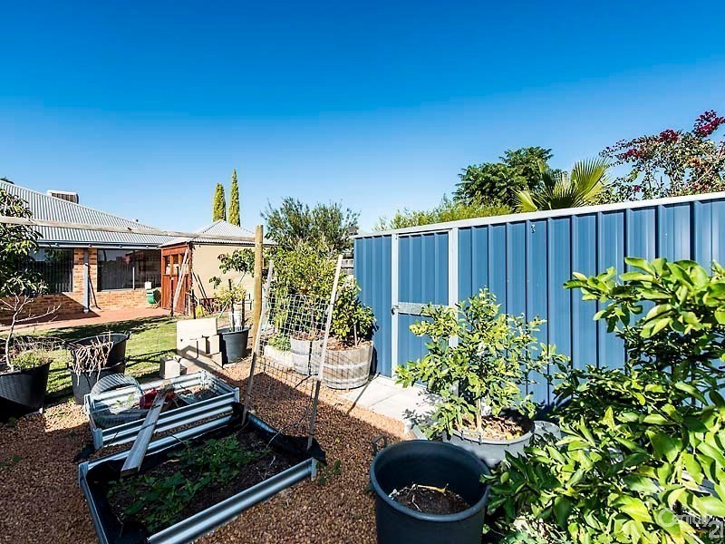 29 Anna Plains Circle, Ellenbrook WA 6069