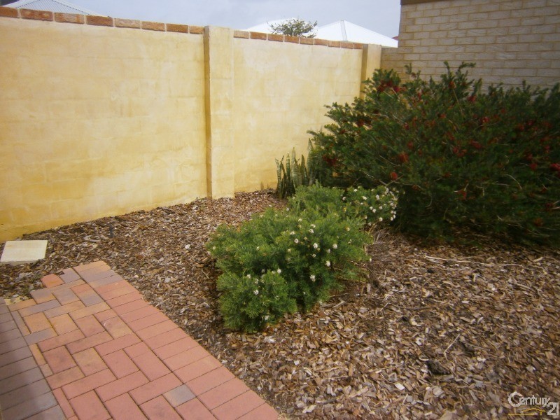 16 Elmina avenue, Ellenbrook WA 6069