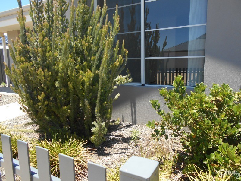 21 Chesham Rise, Alkimos WA 6038