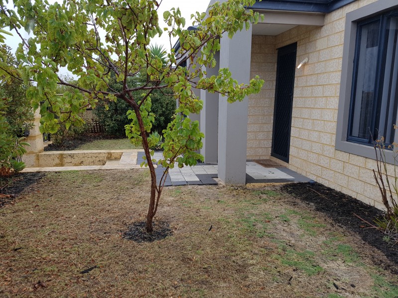 3 Smeaton Lane, Carramar WA 6031