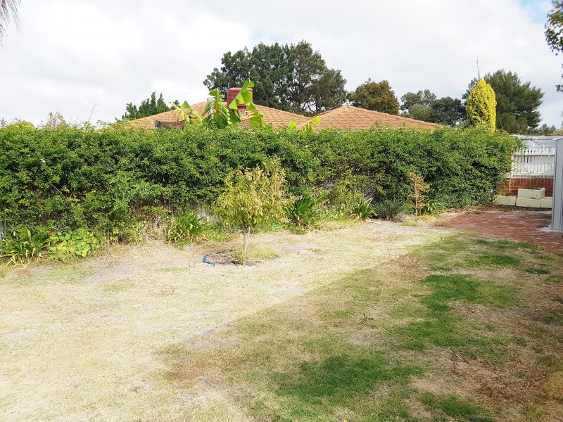 4 Baumea Way, Ellenbrook WA 6069