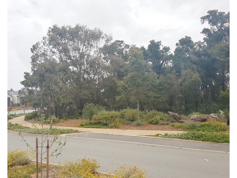 41  Stanbury Crescent, Ellenbrook WA 6069