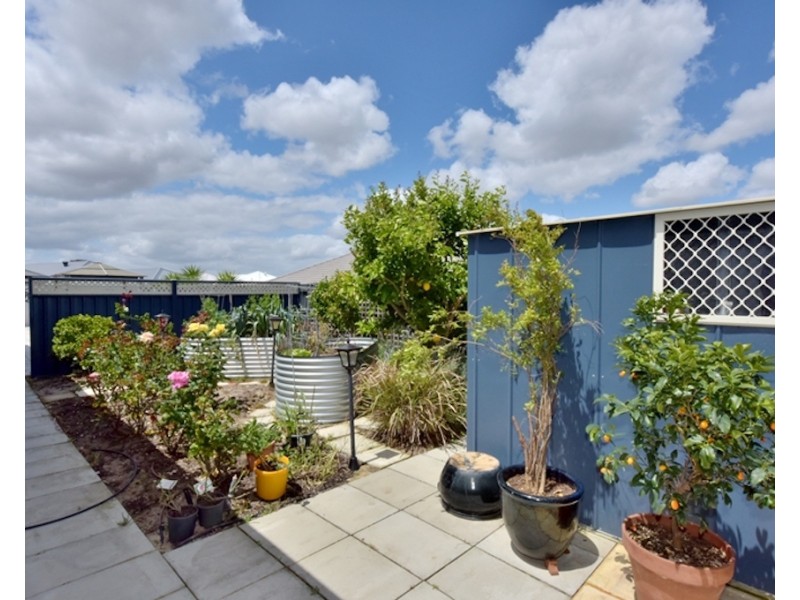 16 Mundego Turn, Ellenbrook WA 6069