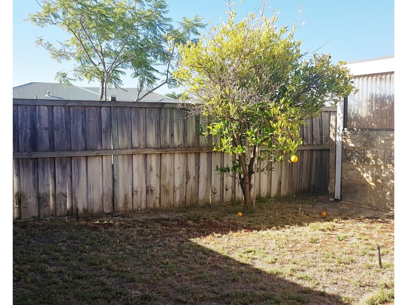 18 Parrotbush Crescent, Ellenbrook WA 6069