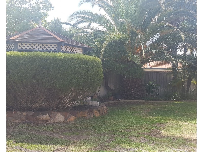 3 Pinea Turn, Ellenbrook WA 6069