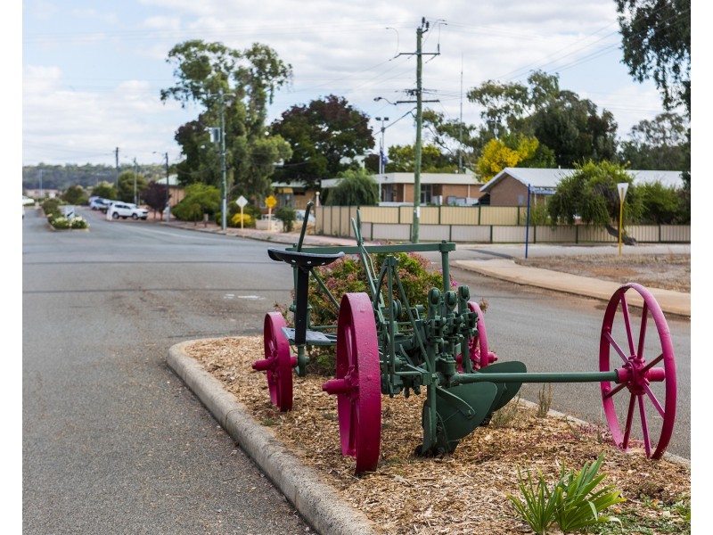 4 Richardson Street, Williams WA 6391