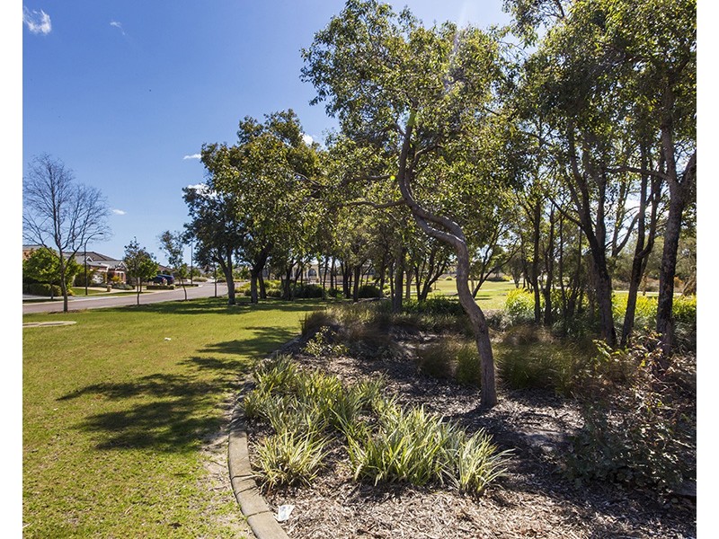 3 Ollave Circuit, Aveley WA 6069