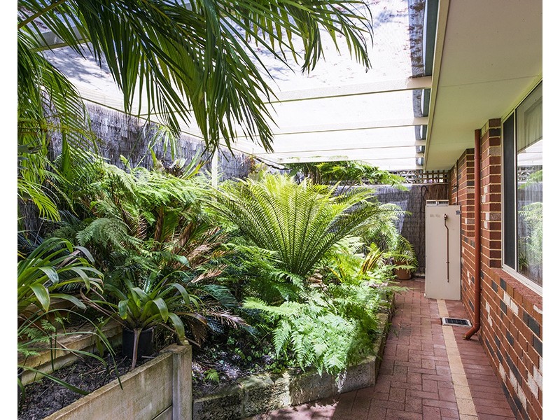 1 Tipuana Mews, Ellenbrook WA 6069
