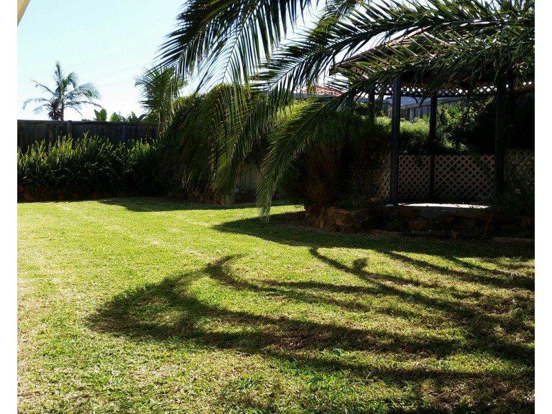 3  Pinea Turn, Ellenbrook WA 6069