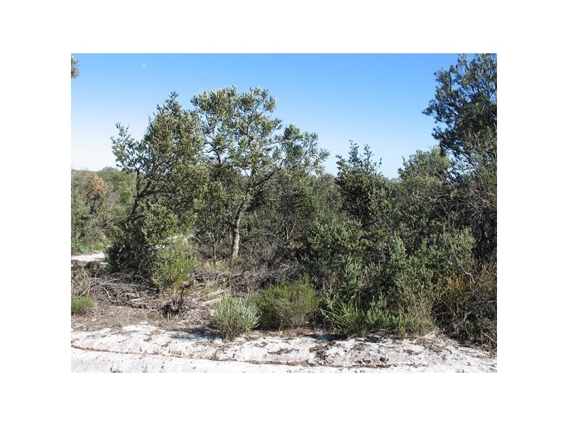 . Payne Street, Muchea WA 6501