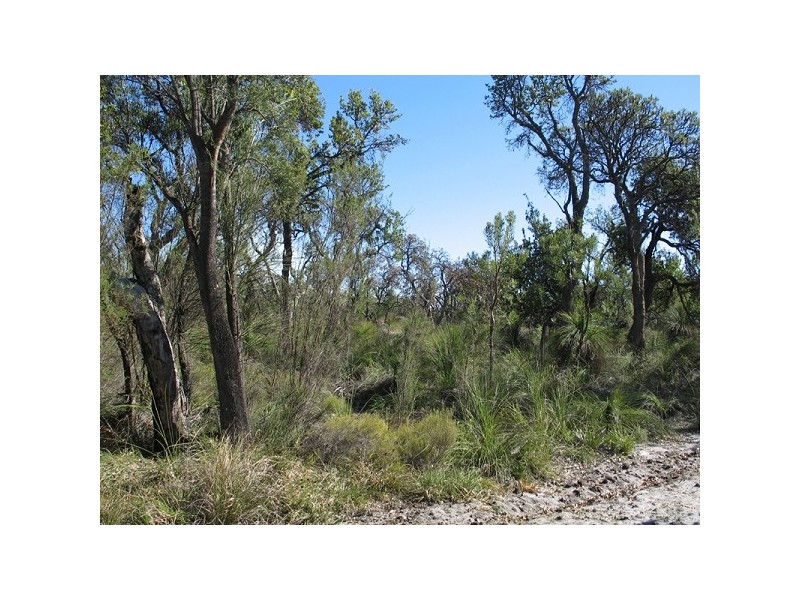 . Payne Street, Muchea WA 6501