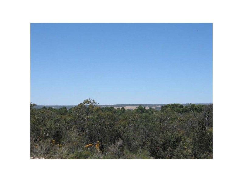 . Payne Street, Muchea WA 6501