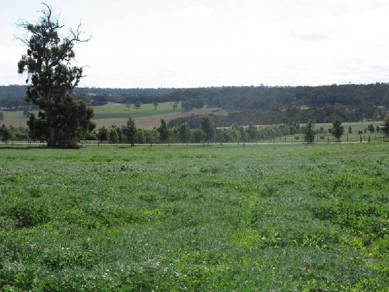 15 Texon Ridge, Lower Chittering WA 6084