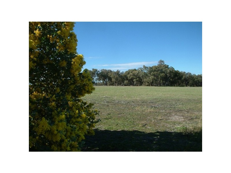 102 Ayrshire Loop, Lower Chittering WA 6084