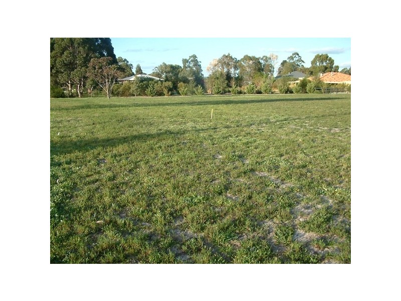 Lot 702 Payne Street, Muchea WA 6501