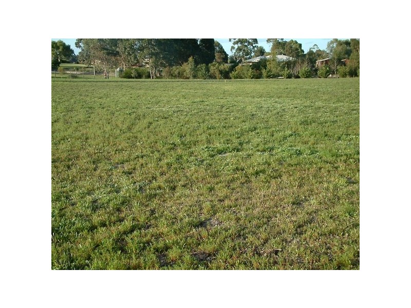 Lot 702 Payne Street, Muchea WA 6501