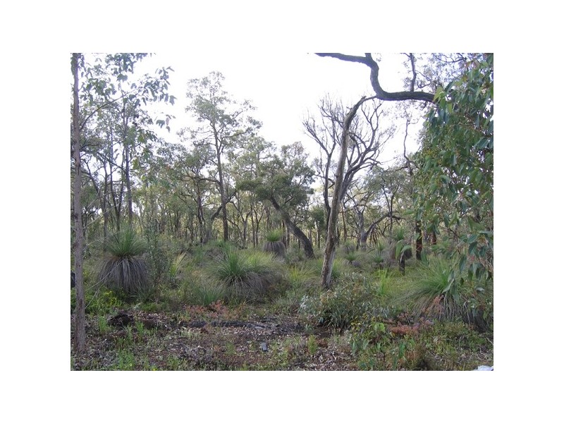 Lot 310 Patersonia Road, Chittering WA 6084