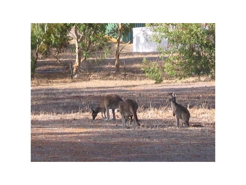 86 Hereford Way, Lower Chittering WA 6084