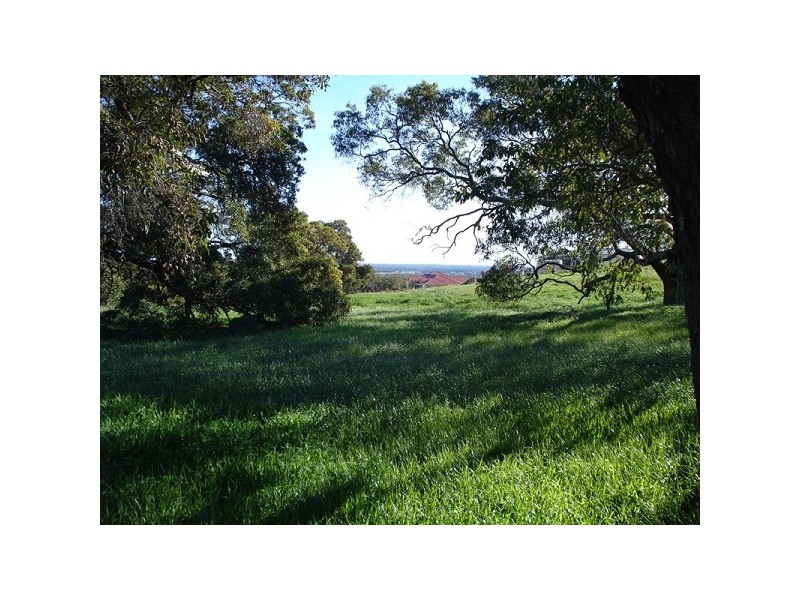 341 McHavloe Drive, Gingin WA 6503