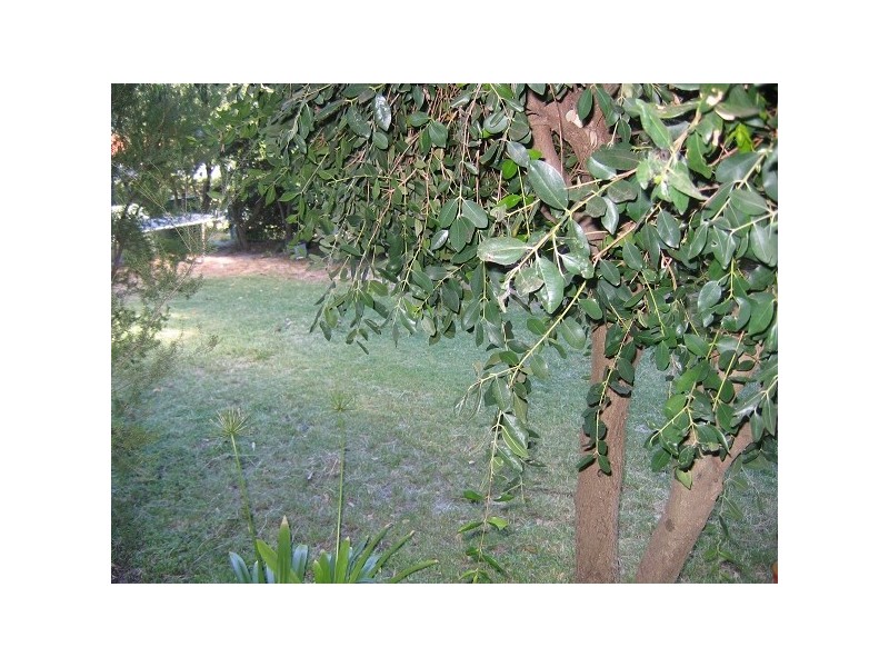 24 Brearley Street, Bullsbrook WA 6084