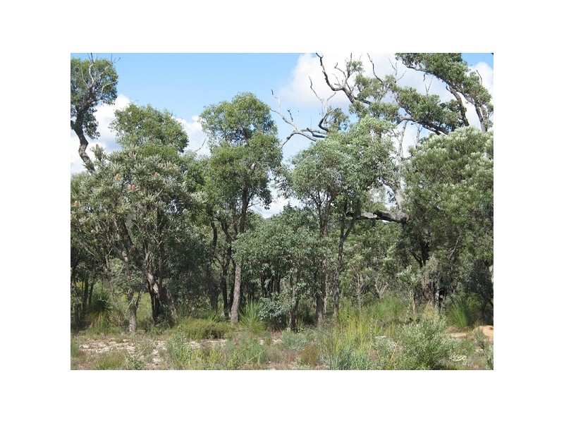 Lot 861 Ghost Gum Ridge, Chittering WA 6084