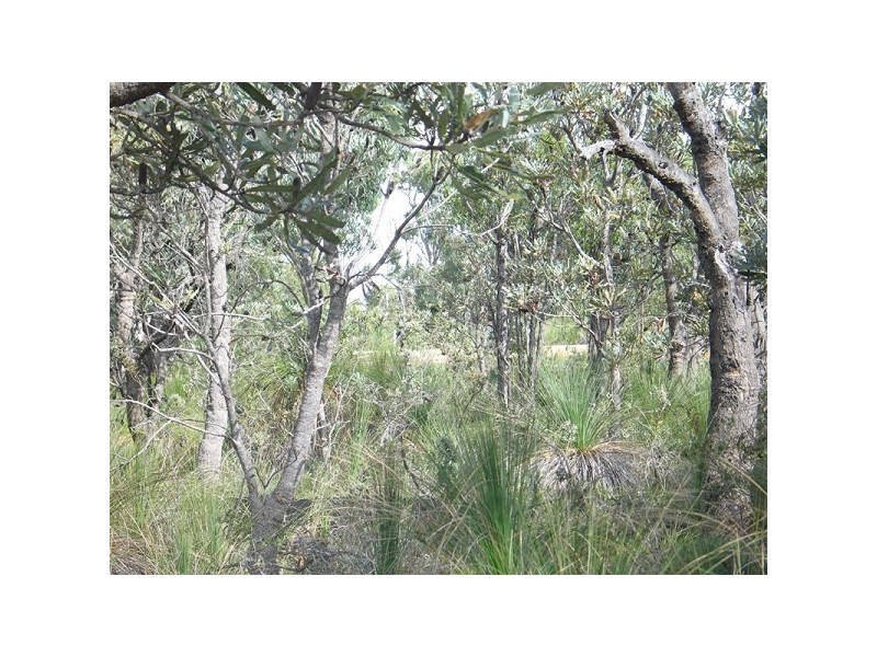 Lot 861 Ghost Gum Ridge, Chittering WA 6084