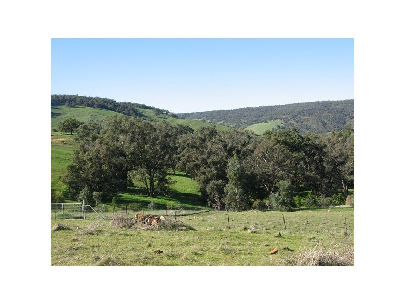 87 Edelweiss Hts, Bullsbrook WA 6084