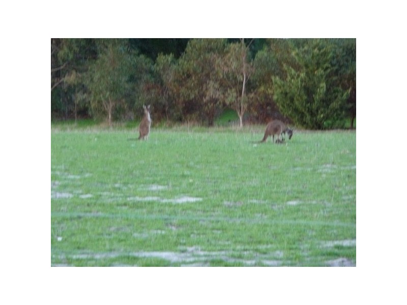 Lot 702 Payne Street, Muchea WA 6501