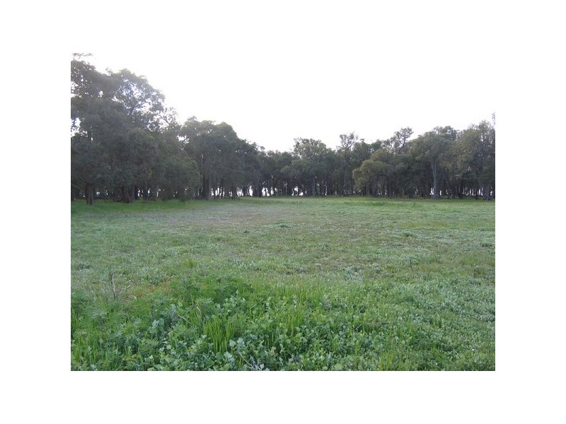 183 Ayrshire Loop, Lower Chittering WA 6084