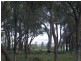 183 Ayrshire Loop, Lower Chittering WA 6084