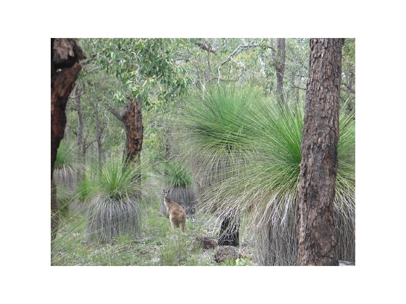 Lot 407 Patersonia Road BLUE PLAINS ESTATE, Chittering WA 6084