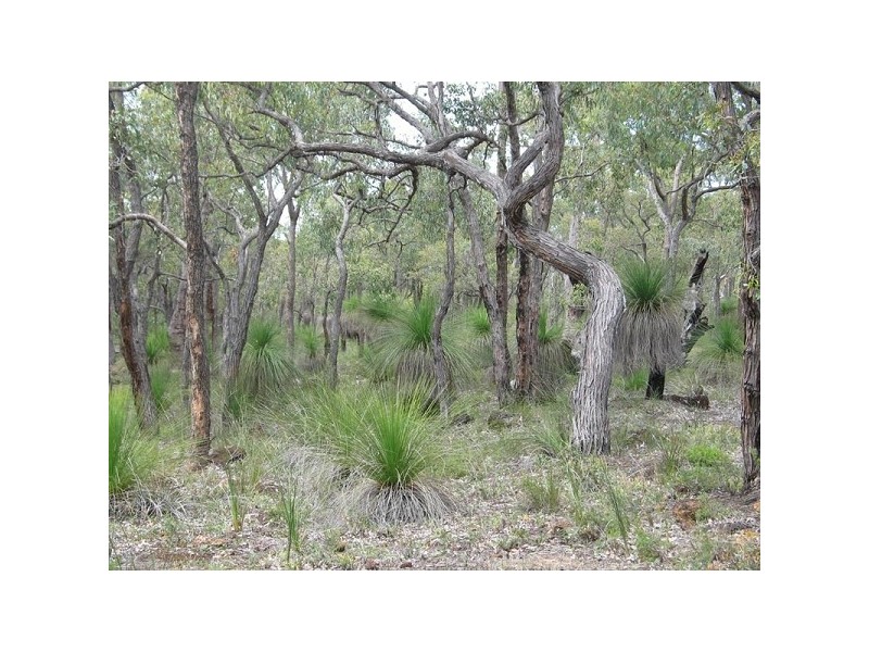 Lot 407 Patersonia Road BLUE PLAINS ESTATE, Chittering WA 6084