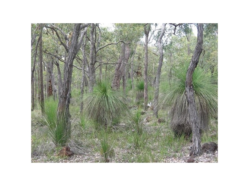 Lot 407 Patersonia Road BLUE PLAINS ESTATE, Chittering WA 6084