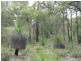 Lot 407 Patersonia Road BLUE PLAINS ESTATE, Chittering WA 6084