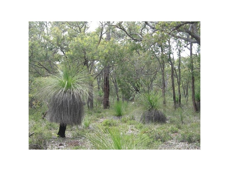 Lot 407 Patersonia Road BLUE PLAINS ESTATE, Chittering WA 6084