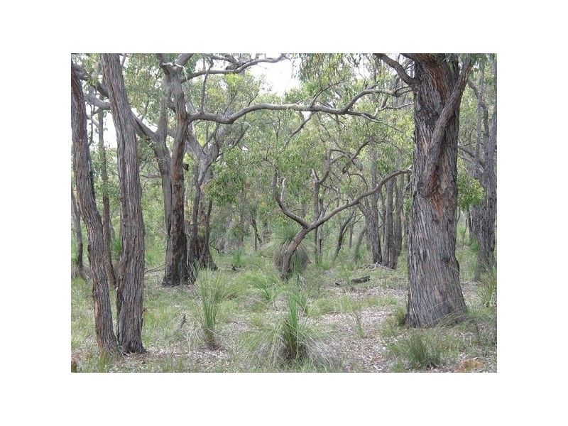 Lot 407 Patersonia Road BLUE PLAINS ESTATE, Chittering WA 6084