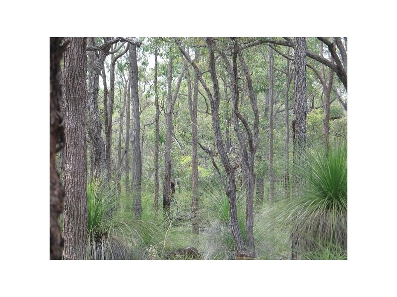 Lot 407 Patersonia Road BLUE PLAINS ESTATE, Chittering WA 6084