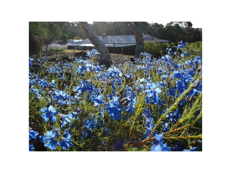 215 Hart Drive, Chittering WA 6084