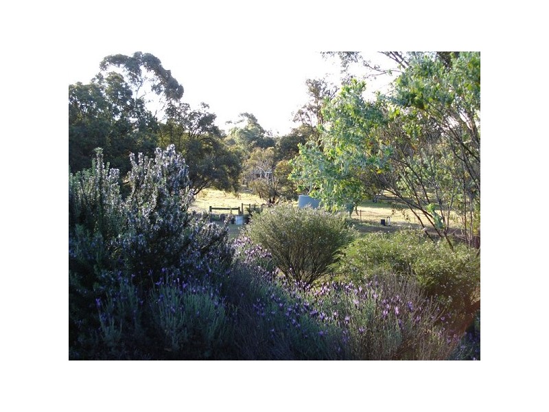 215 Hart Drive, Chittering WA 6084