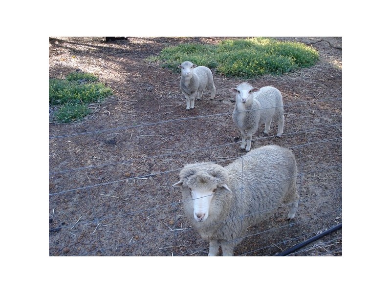 215 Hart Drive, Chittering WA 6084