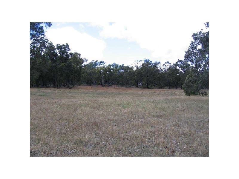 Lot 526 Maine Anjou Drive, Lower Chittering WA 6084