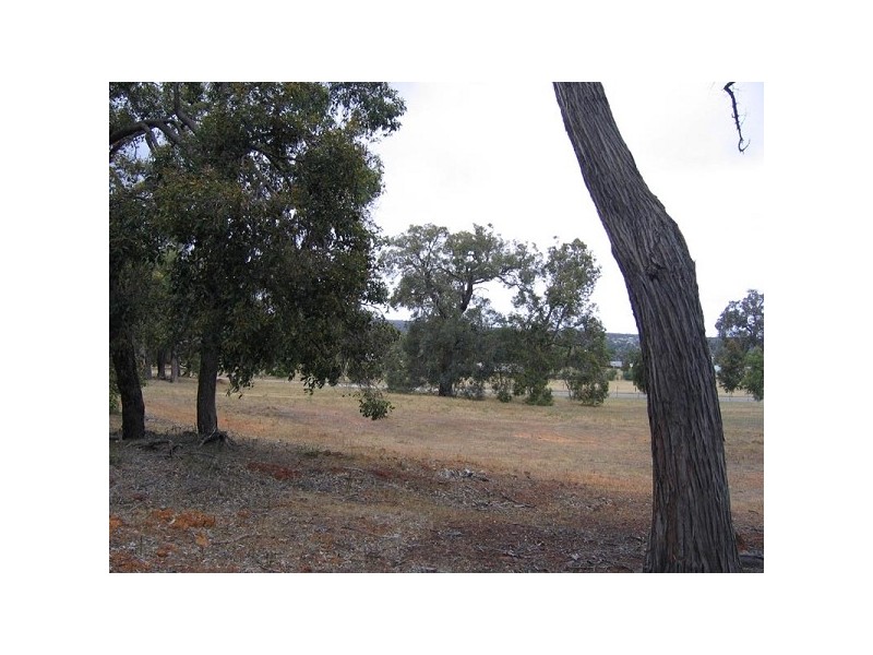 Lot 526 Maine Anjou Drive, Lower Chittering WA 6084