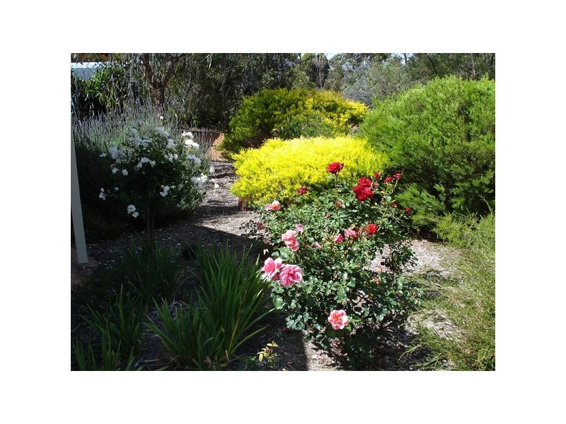 117 Fraser Rd, Bullsbrook WA 6084
