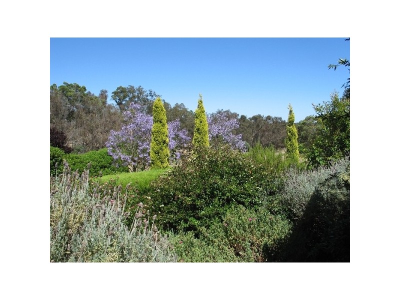 167 Meadowbrook Ramble, Bullsbrook WA 6084